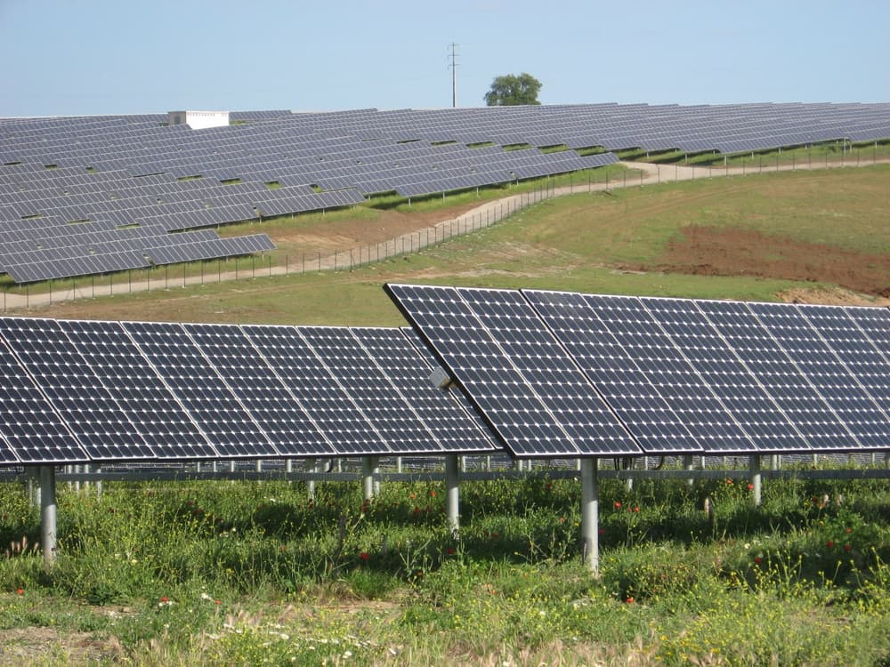 Bringing More Solar Jobs to The Palmetto State - HCS Renewable Energy joins SBA