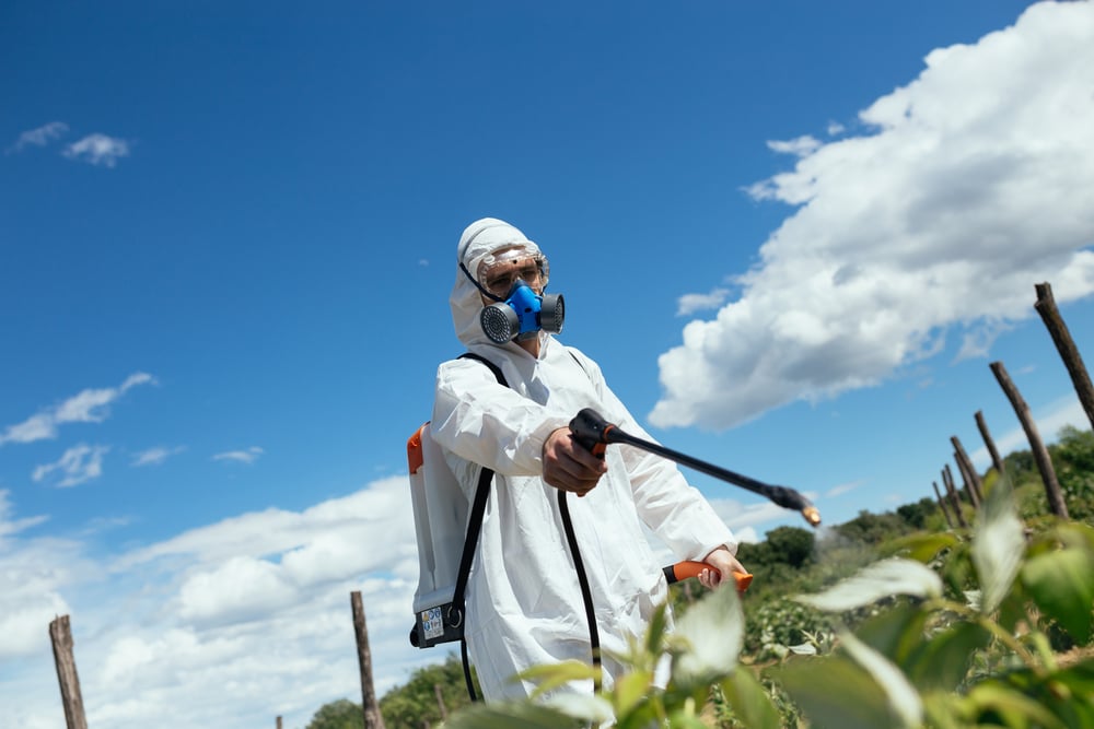Person managing weeds by spraying chemicals